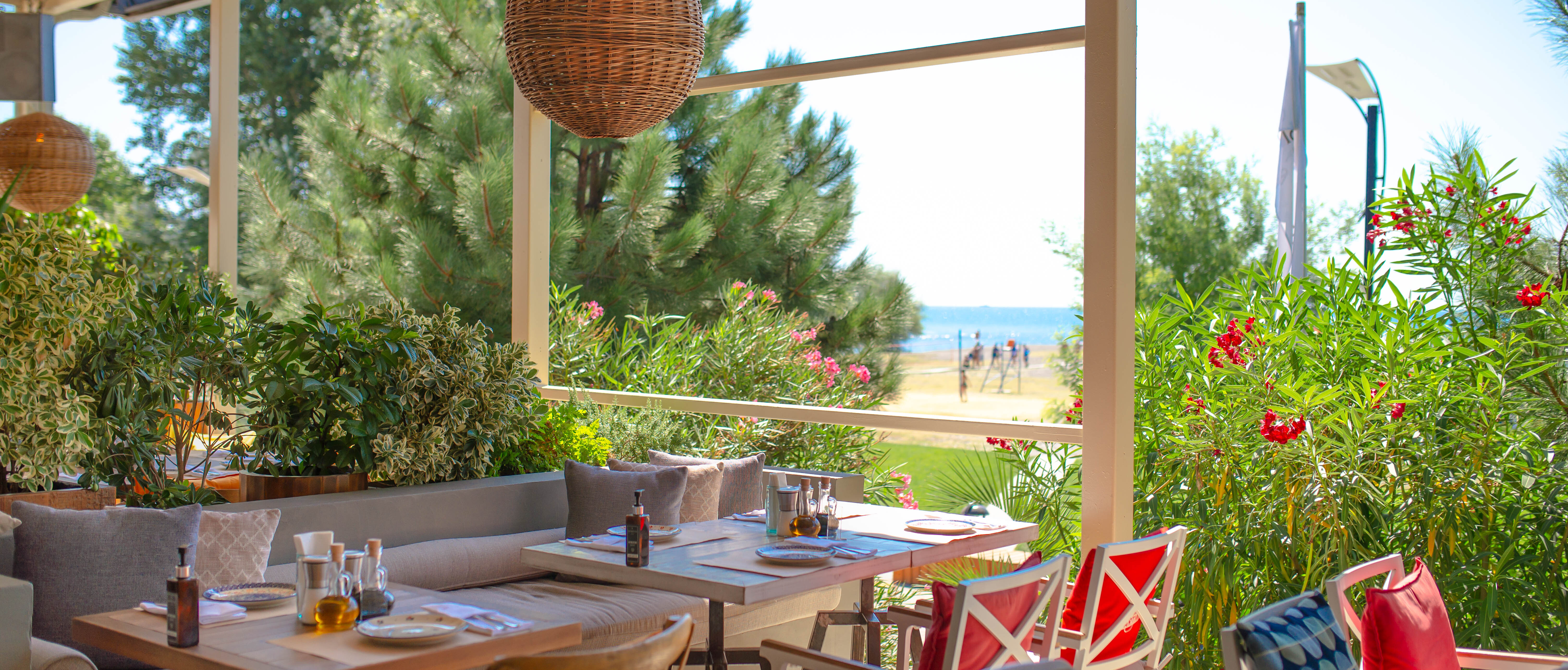 Syrovarnya </br>Sochi. Adler