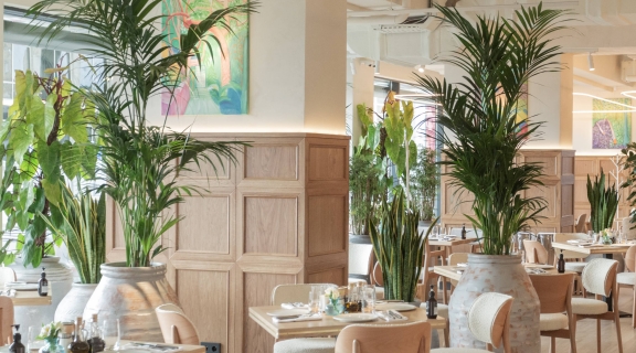 Новая Сыроварня — в самом центре Красноярска!